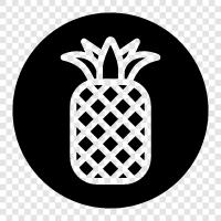 pineapple, fruit, tropical, healthy icon svg