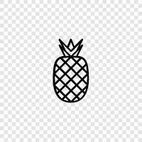 pineapple fruit, pineapple juice, pineapple recipes, pineapple health benefits icon svg