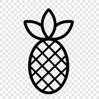 pineapple product, pineapple juice, pineapple extract, pineapple flavor icon svg