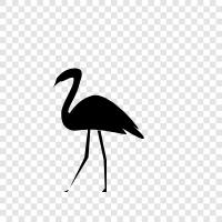 pink, flamingo, animal, bird icon svg