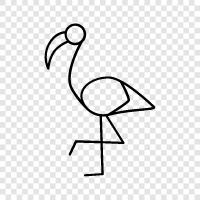 pembe, pembe flamingo, pembe flamingo emoji, flamingo emoji ikon svg