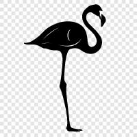 pink, flamingos, birds, ecology icon svg