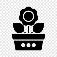 Plant, Bloom, Bloom Time, Blooming icon svg