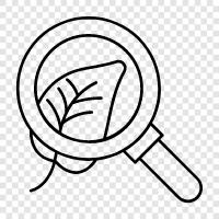 Plant breeding, Plant physiology, Plant genetics, Plant growth icon svg