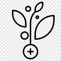 plant breeding, plant genetics, plant physiology, plant pathology icon svg