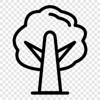 plant, tree, forest, natural icon svg