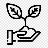 plant, grow, trees, replant icon svg