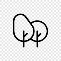 Pflanzen, Befruchten, Prune, Garten symbol