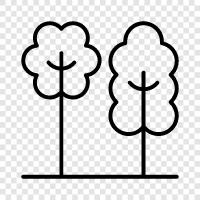 Plant, Blossom, Fruiting, Branch icon svg