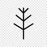 Plant, Foliage, Branch, Leaves icon svg