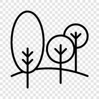 plant, leaves, growth, branches icon svg