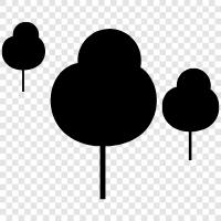 Plant, Wood, Foliage, Branch icon svg