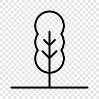 Plant, Foliage, Growth, Wood icon svg