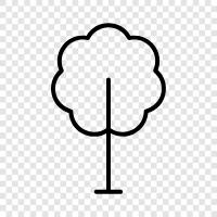 Plant, Bush, Foliage, Branch icon svg