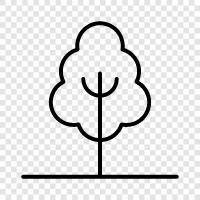 Plant, Fruits, Flowers, Tree icon svg