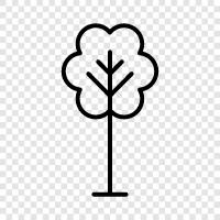 Plant, Planting, Fertilization, Pruning icon svg