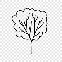 Plant, Foliage, Branch, Leaf icon svg