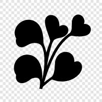 plant, flowers, leaves, trees icon svg