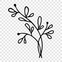 Pflanze symbol