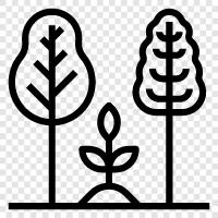 plant growth, plant care, plant nutrients, plant light icon svg