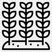 Plant growth, Plant health, Plant nutrition, Plant interactions icon svg