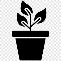 plant growth hormones, plant growth regulators, plant growth media, Plant growth icon svg