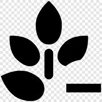 plant minus, plant minus garden, plant minus plants, plant minus vegetables icon svg