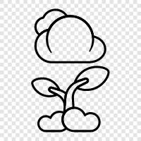 Pflanzennebel, Pflanzenregen, Pflanzenschnee, Pflanzenwolke symbol