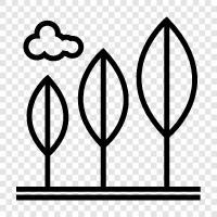 plant, cultivate, harvest, increase icon svg