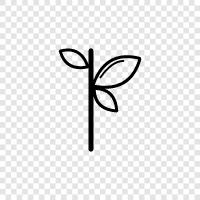 Plant Parts, Plant Nutrition, Plant Growth, Plant Reproduction icon svg