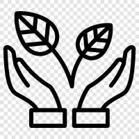 Plant Species, Flower, Plant Habit, Plant Name icon svg