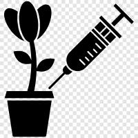 plant testing, plant identification, plant testing lab, plant identification lab icon svg