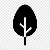 Plant, Forestry, Wood, Nuts icon svg