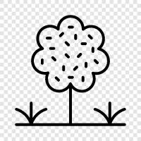 Plant, Flora, Fauna, Wood icon svg