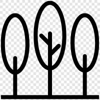 plant, wood, bark, leaves icon svg