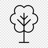 Plant, Wood, Branches, Leaves icon svg