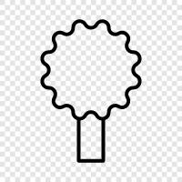 Plant, Foliage, Leaves, Branch icon svg