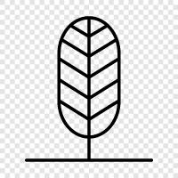 Plant, Fertilization, Pruning, Shading icon svg