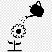 Plant watering, Plant watering tips, How to, Watering Flower icon svg