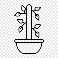 planter, pot, gardening, container icon svg