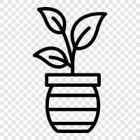 planter, pot, container, grow icon svg