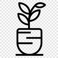 planter, pot, container, garden icon svg