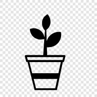 Planting, Gardening, Vegetables, Fruits icon svg