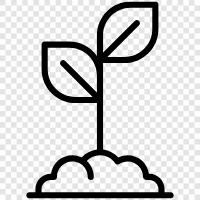 planting, harvesting, planting seed, starting plants from seed icon svg