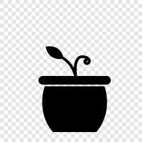 Planting, Planting Flowers, Planting Vegetables, Plant Growing icon svg