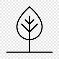 planting, trees for sale, trees icon svg