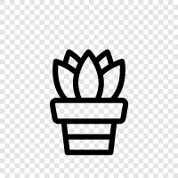 plants, cactus, succulent house, succulent garden icon svg