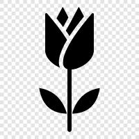 plants, gardening, gardening tips, gardening tools icon svg