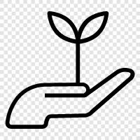 plants, gardening tips, vegetable gardening, flower gardening icon svg