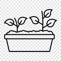 plants, flowers, vegetables, fruits icon svg